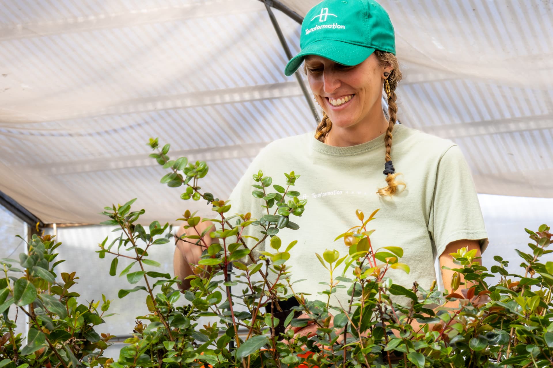 A Terraformation nursery team member tending young native seedlings